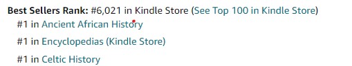 screenshot of kindle categories for a book